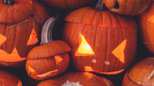 Pumpkin Carving