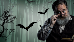 Halloween Stories