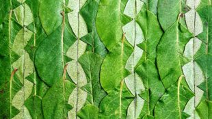 Inspired by Stripes… Green Libraries Week Workshop